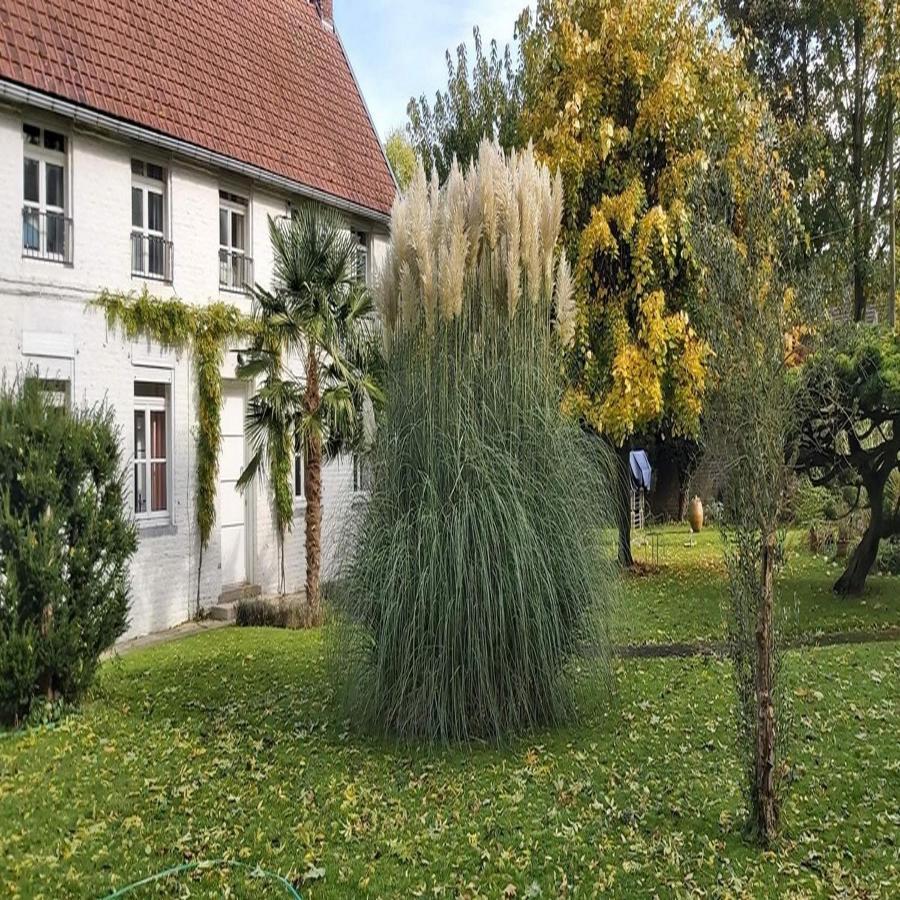 Gite La Riviera Wargnies-le-Grand 外观 照片
